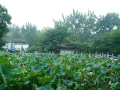 -莲湖公园