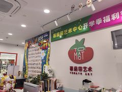 -蕃茄田艺术•美术绘画 •硬笔书法(滨江海威领界店)