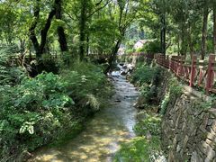 -素山寺森林公园