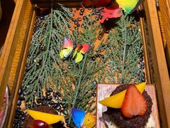 -甜阿姨·天台花园私房菜(万松园店)