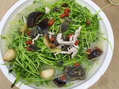 -鹿福农庄(南沙天后宫店)