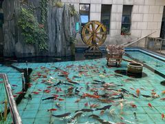 -陕西自然博物馆