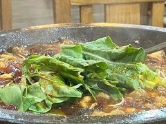 -都江堰石锅鱼