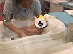 -月幸福月子中心(静安店)