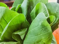 -香满锅老北京羊蝎子火锅·家常菜(新街口店)