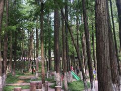 -张公山寨景区