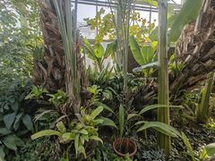 -国家植物园南园