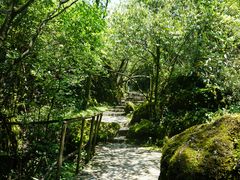 -山王坪喀斯特国家生态公园