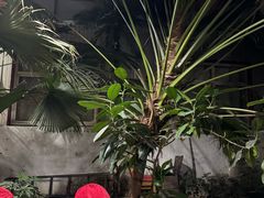 -漕河全驴宴饭店(徐水店)