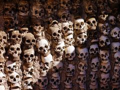 -比如骷髅墙景区