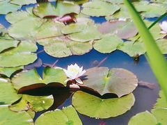 -南山风景名胜区