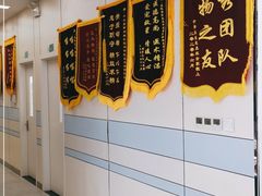 -中农国际动物医院24小时·猫科·骨科·急重症中心