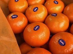 -上海龙吴水胜海发市场