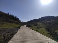 -武陵山森林公园