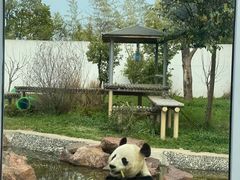 -苏州太湖国家湿地公园