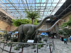 -国家自然博物馆