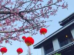 -松赞丽江山居餐厅