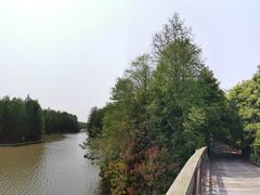 -上海海湾国家森林公园