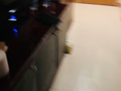 -大同王府至尊酒店