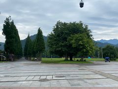 -青城山