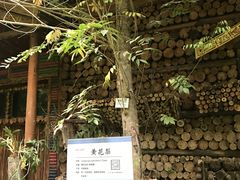 -呀路古热带植物园