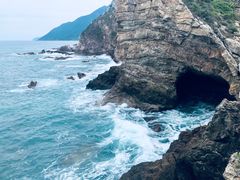 -杨梅坑