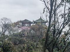 -莫干山风景区