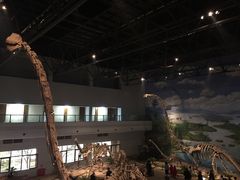 -自贡恐龙博物馆