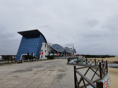 -日照海滨国家森林公园