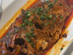 -院里寻菜·精致庭院菜(观沙岭店)