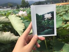 -北岐滩涂