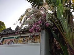 -深圳国际园林花卉博览园