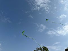 -不觉晓CAMPING(上海迪士尼营地店)