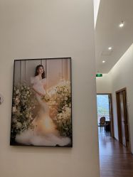 -金夫人婚纱摄影(总店)