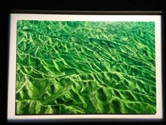 -罗红摄影艺术馆