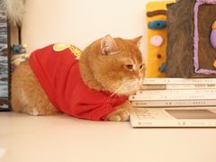 -松松咖啡