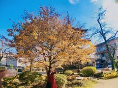 -医王山·飞騨国分寺