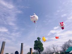 -田园东方蜜桃村的田野营地