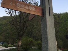 -牛背梁国家森林公园