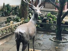 -浙江省博物馆(孤山馆区)