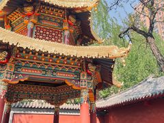 -护国法轮寺
