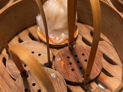 -金鼎轩(方庄店)