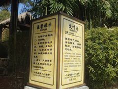 -崇阳三特浪口温泉