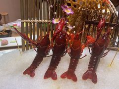 -尚海豆捞(乐虹坊店)