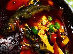 豆腐黄辣丁-铜锣湾·有麝自然香(渝北财富中心店)