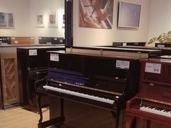 -柏斯音乐艺术中心·钢琴·吉他(世纪金源店)