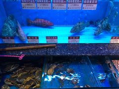 -协成海鲜火锅(海洋花园店)
