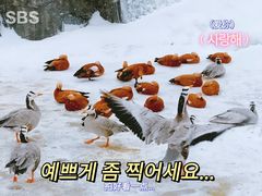 -新疆天山野生动物园