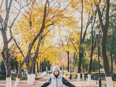 -山东大学(趵突泉校区)