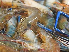 -福建鲤鱼洲酒店